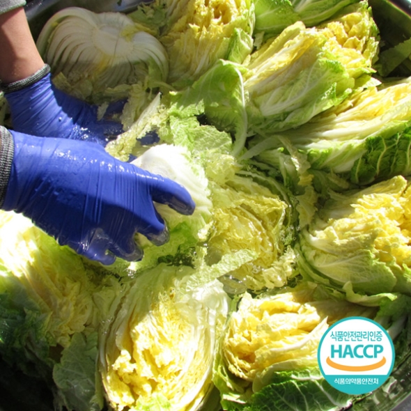 [예약배송] [농협] 한아름드린 해남 절임배추 20kg(6-9포기) / 도착일지정