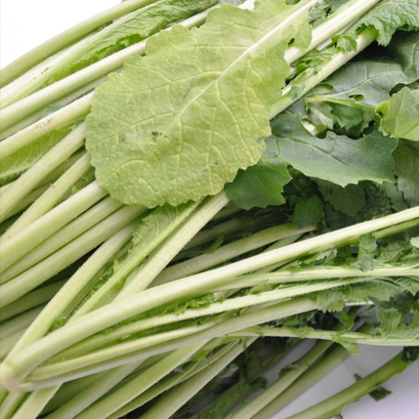 [농협] 한아름드린 신선 청갓 4kg/8kg(특)