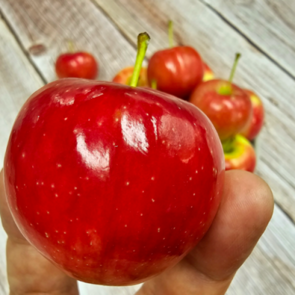 귀여운 미니사과 루비에스 미니사과 1kg/2kg/4kg 아삭한 달콤함