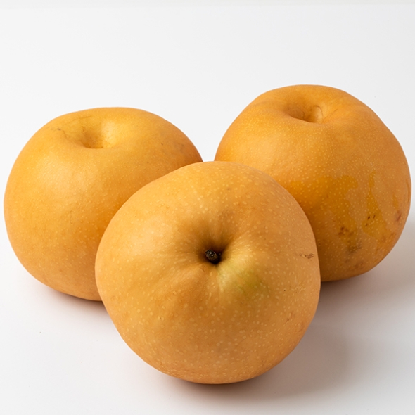 [햇배최고] 신고배 가정용 못난이 달콤한 배 3kg 5kg