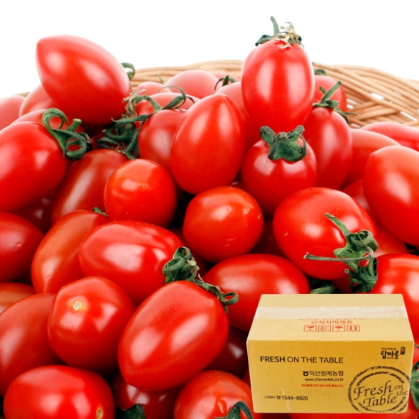 [농협공판장] 정성드린 대추방울토마토 4kg(특1-2번과)