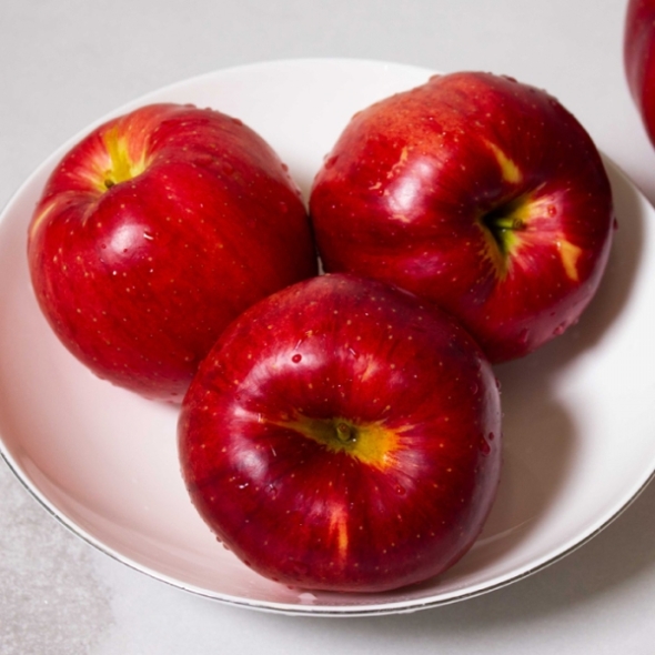 [햇사과] 달콤 아삭한 사과 정품/가정용 2kg 5kg