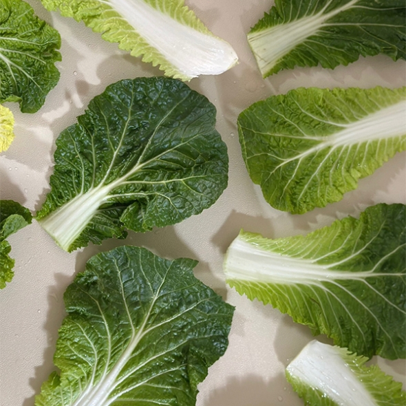 [주말특가] 고소하고  달큰한  봄동