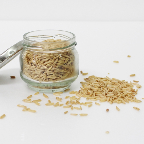 (25년산) 홍성농부의 귀리 1kg 직접도정