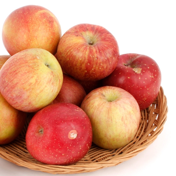 [과일예찬] 못생겨도 맛좋은 가정용 사과 3kg(10-16내)