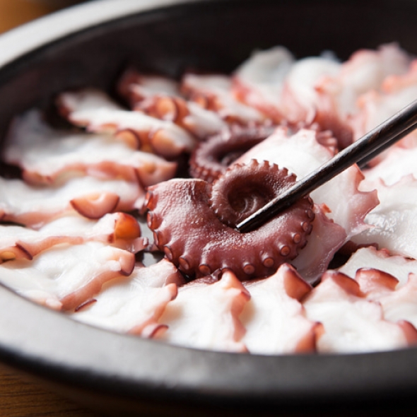 [신한카드 할인]산지직송 통영 자연산 돌문어 1kg 제수용