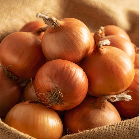 [무안직송] 달큰 아삭 양파 3kg 5kg 소 중대 사이즈 흰양파