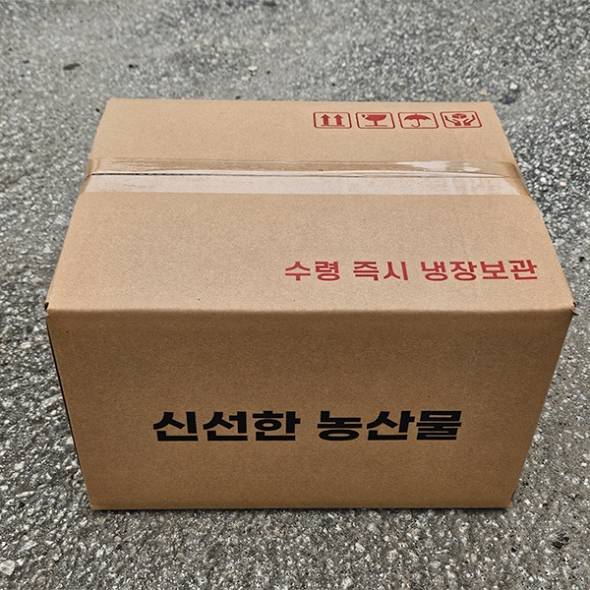 쫀득하고 찰진 식감  미백  찰옥수수(푸)