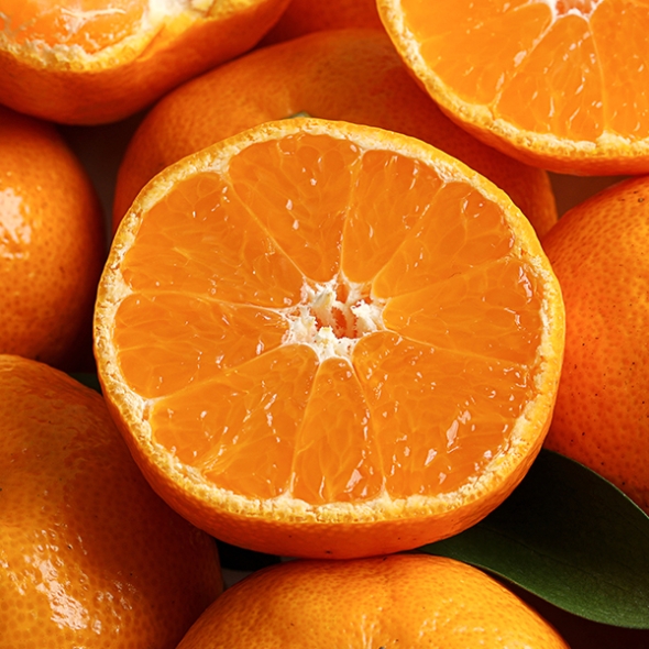 [감귤최고] 타이벡 감귤 4.5kg 가정용 실속형