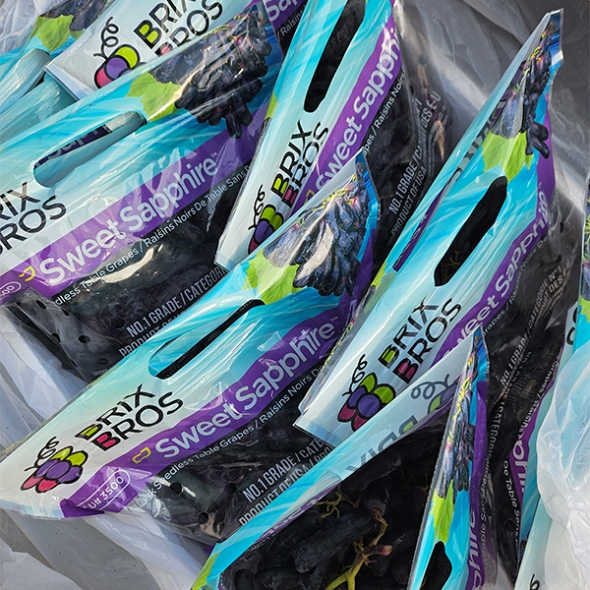 [주말특가] 고당도 블랙 사파이어 포도(푸)