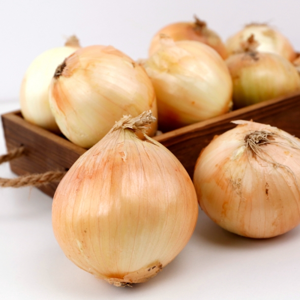 산지직송 국내산 창녕 고령 단단한 햇양파  중 대 특 1kg 2kg 3kg 