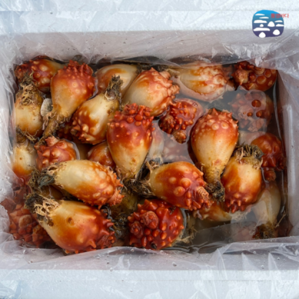 생산자 직판 통영 활멍게 10kg [ 업소용 벌크] 냉동 깐 멍게 800g x 5팩,12팩,17팩 [업소용]