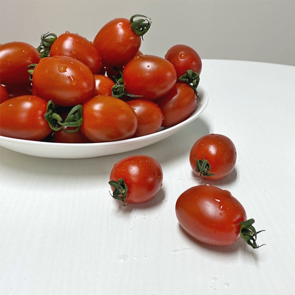 [만원의 행복][토마캄스] 대추 방울 토마토 2kg 3kg 5kg 중대과 로열과 혼합