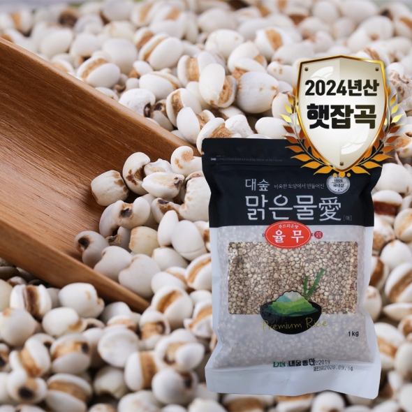 [대숲맑은물애] 24년산 의이인 율무 1kg~5kg