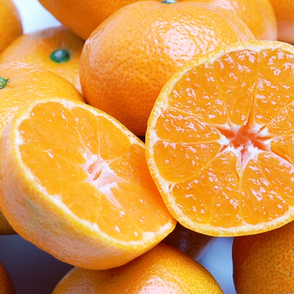 [푸토리] 행복한농부 감귤 5kg / 소과 / 대과 / 로얄과