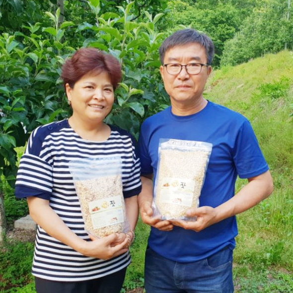 [25년산] 강원도 영월 유기농 잣 (백잣/황잣) 130g / 300g / 500g