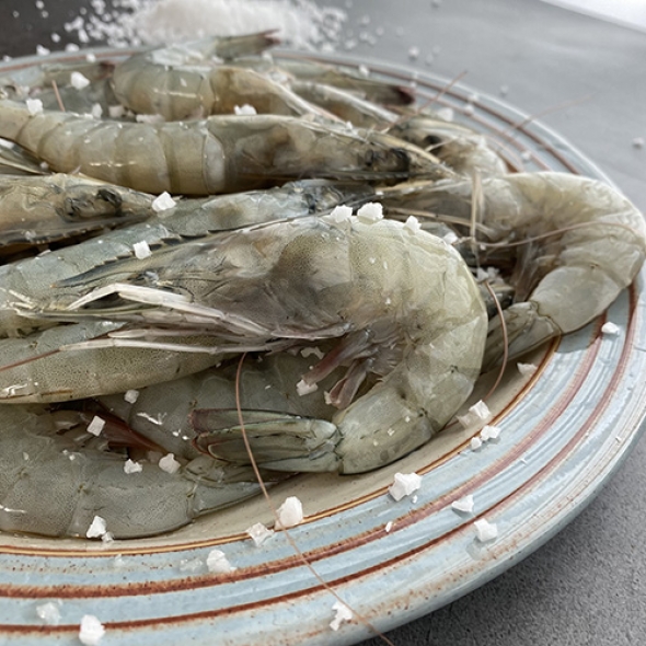 국내산 제철 흰다리새우 1kg 왕새우 새우철