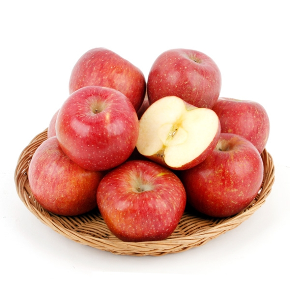 [농협공판장] 정성드린 고랭지 실속 사과 5kg(18-20과)