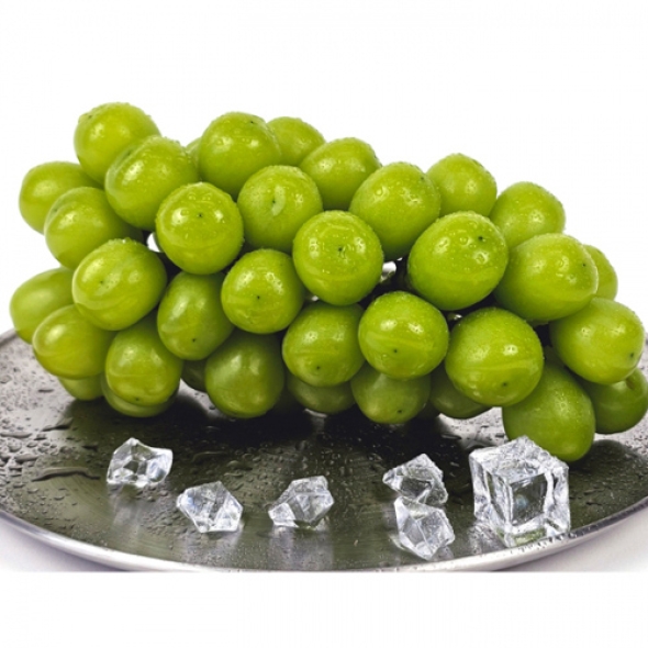 [만원의 행복]망고향 고당도샤인머스켓 1kg/2kg/4kg 안전포장