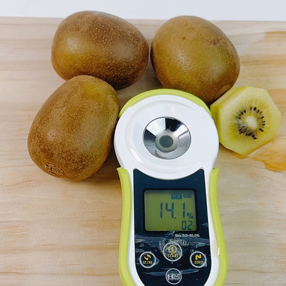 [키위최고] 국내산 키위 골드키위 1kg 2kg