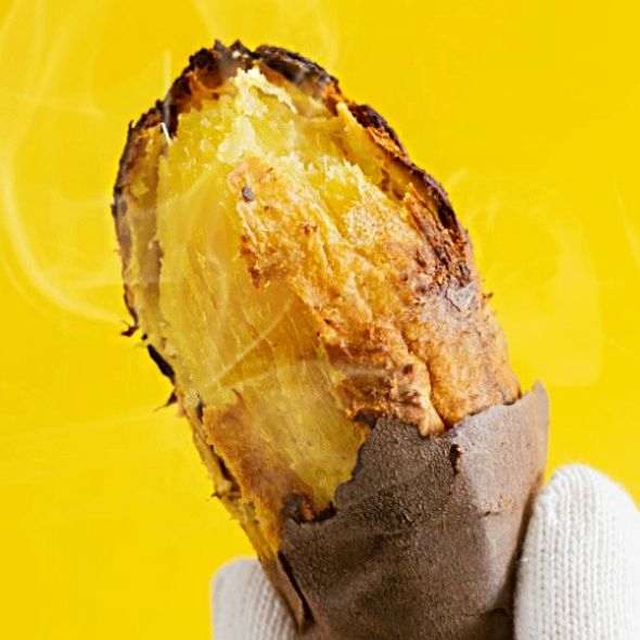  [농협공판장] 정성드린  세척 꿀고구마 5kg/10kg(상/150-300g)