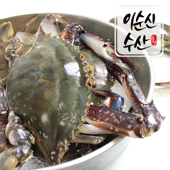 제철 서해안 활꽃게 1kg