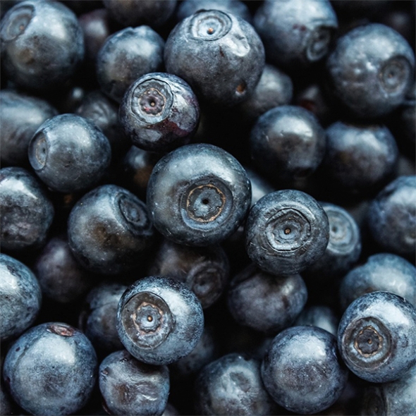 프리미엄 생 블루베리(푸)