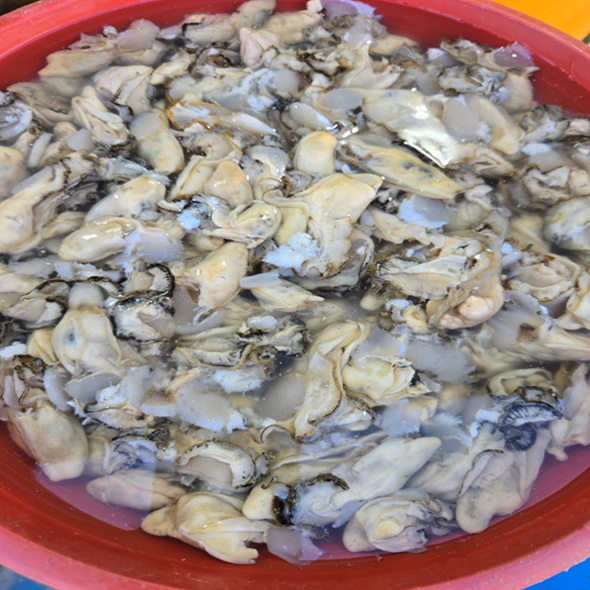 홍지수산 고흥 자연산 알굴 500g  1kg 남해안 깐굴