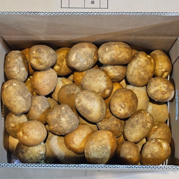 부드럽고 달달한 맛 두백감자(푸)