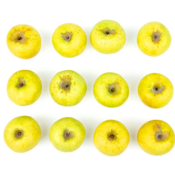 [특별할인] [클래식농원] GAP, 저탄소 괴산 시나노골드 3kg 9~10과(대)