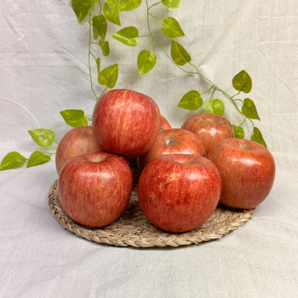 [김장철] 경북 부사사과 (정품) 중대과 로얄사이즈 (일반포장) 아삭 단단 부사 3kg / 5kg