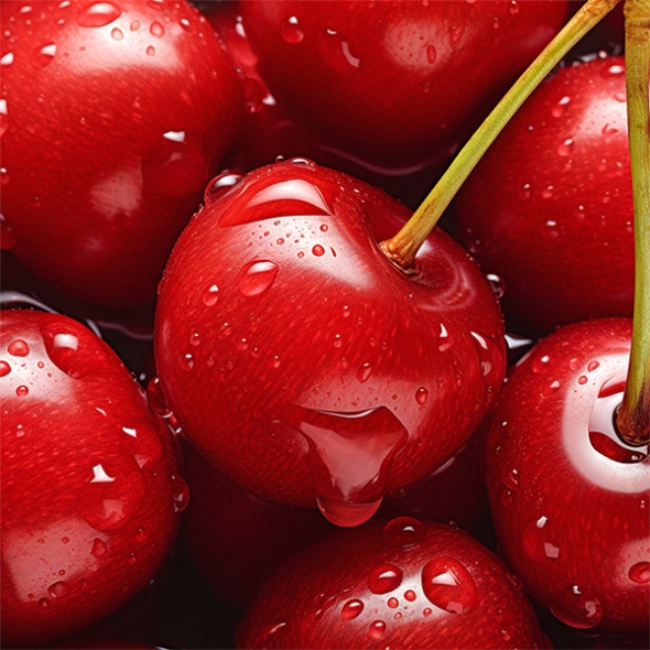 프리미엄 생체리(푸)