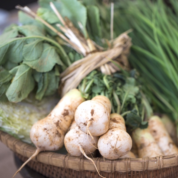 [농협] 한아름드린 신선 알타리무 4kg(특)