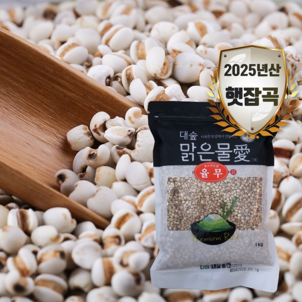 [대숲맑은물애] 25년산 의이인 율무 1kg~5kg