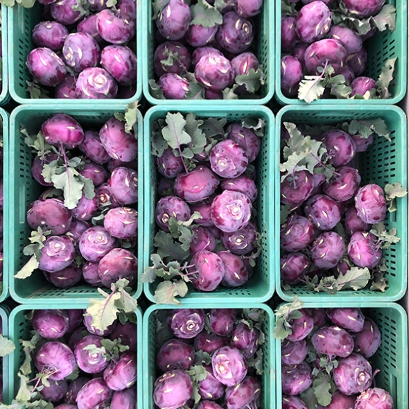 제주도 프리미엄 콜라비(푸)