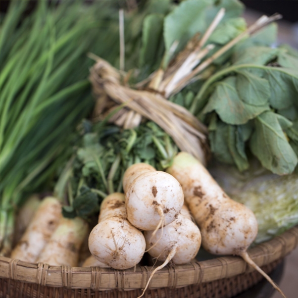 [농협] 한아름드린 신선 알타리무 4kg(특)