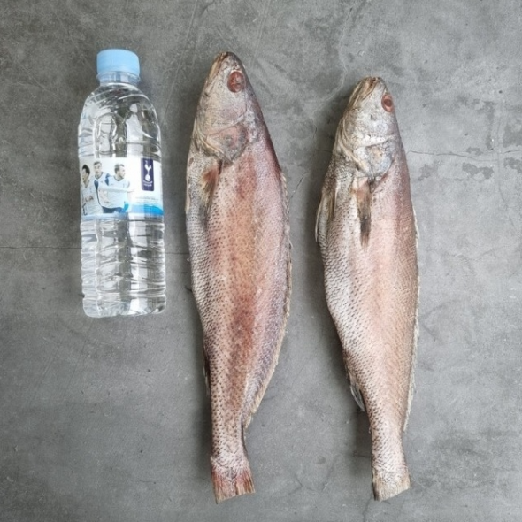 홍지수산 1마리씩 포장된 제수용 통으로 민어  밥반찬 펼쳐진 민어