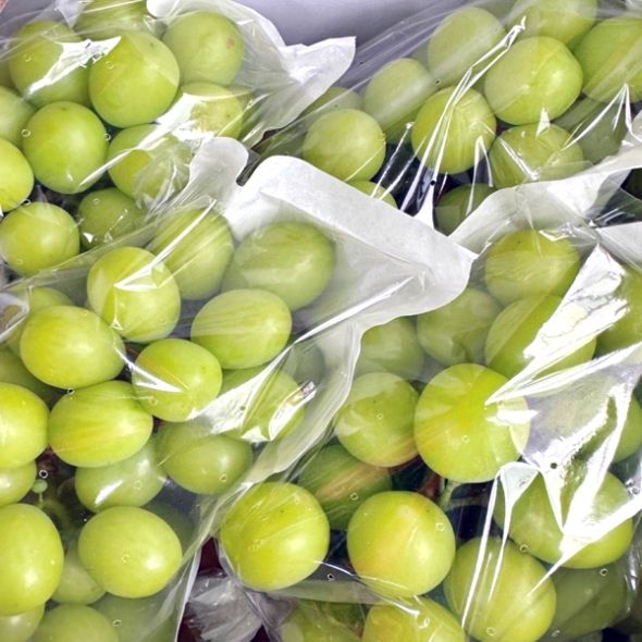 [농협] 한아름드린 샤인머스캣 2kg내외(특3-4수)