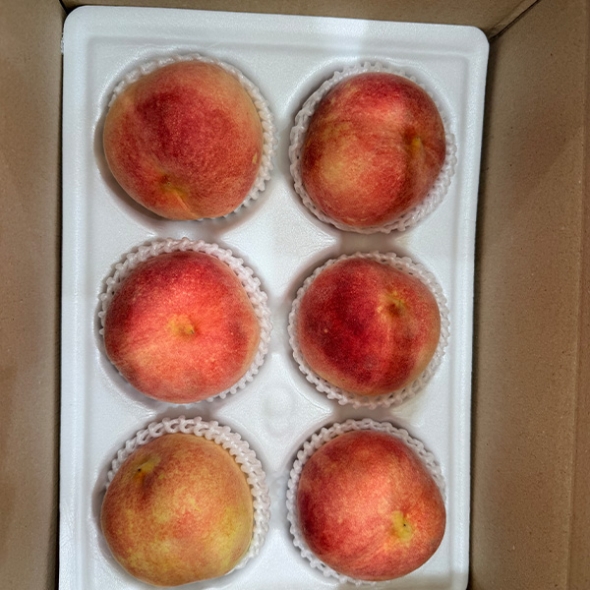 산지직송 과즙가득 복숭아