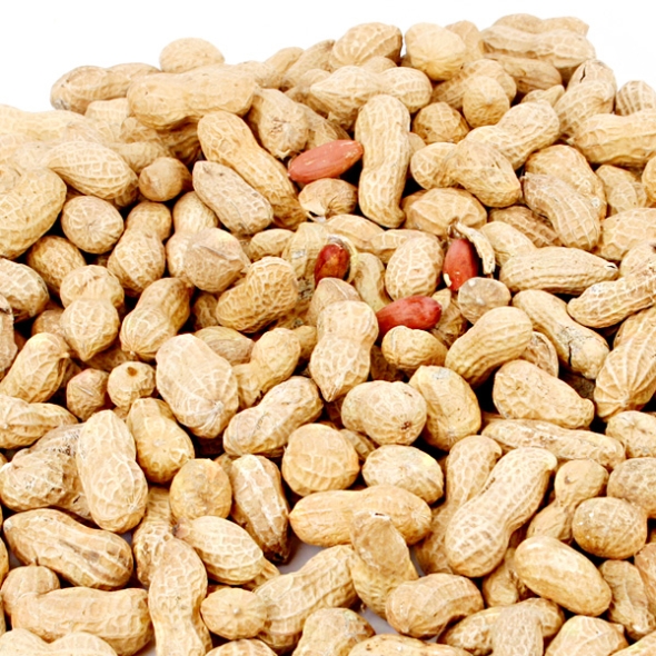 [농협공판장] 정성드린 볶음 피땅콩 1kg/2kg/3kg (팩당1kg)