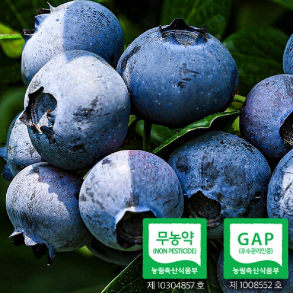 [웰루츠] 국내산_무농약 냉동 블루베리 500g×2ea