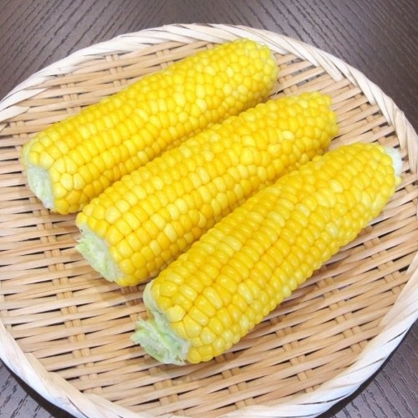 산지직송 제철 고당도 초당옥수수 특품 최상품