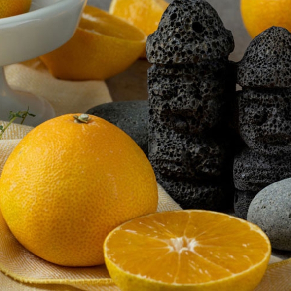 [황금최고] 제주 황금향 3kg 5kg 소과 중과 가정용 못난이