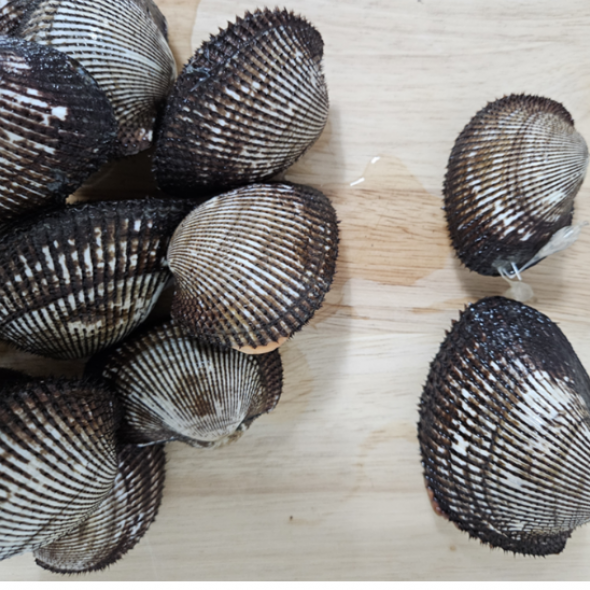 홍지수산 피꼬막1kg
