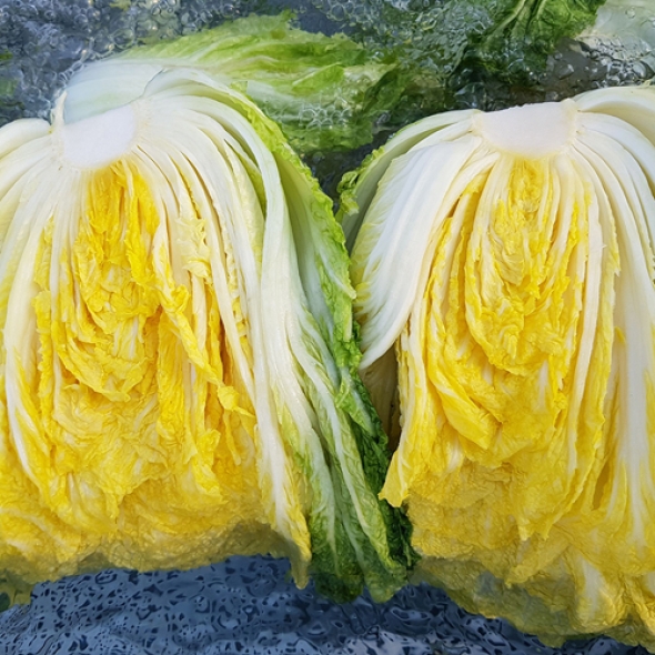 [예약배송] [HACCP 해남] 절임배추 절임배추 20kg