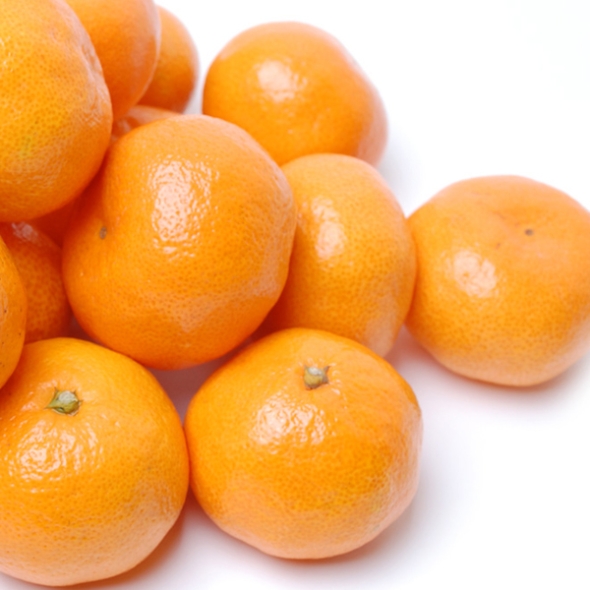 [푸토리] 고당도 중문 달코미 감귤 5kg / 소과 / 대과 / 로얄과