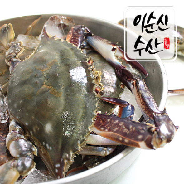 [보름데이] 국내산 서해안 제철 생물 활꽃게 암수랜덤 2kg