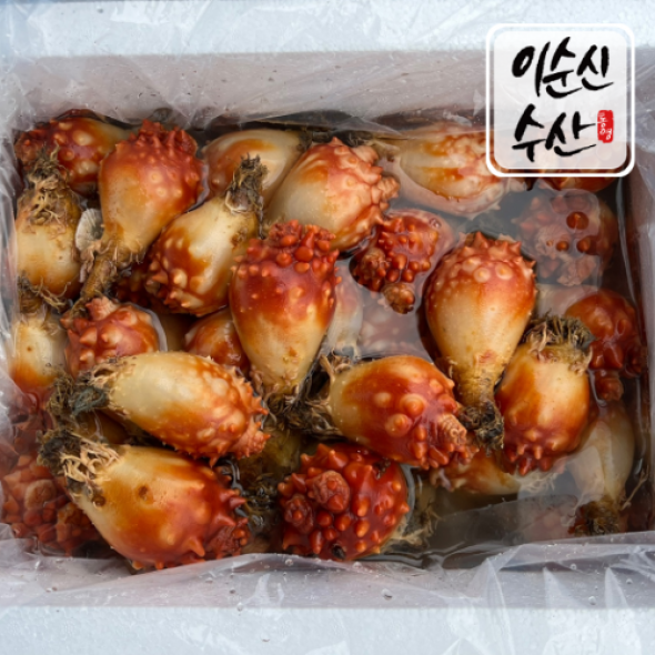 생산자 직판 통영 활멍게 10kg [ 업소용 벌크] 냉동 깐 멍게 800g x 5팩,12팩,17팩 [업소용]