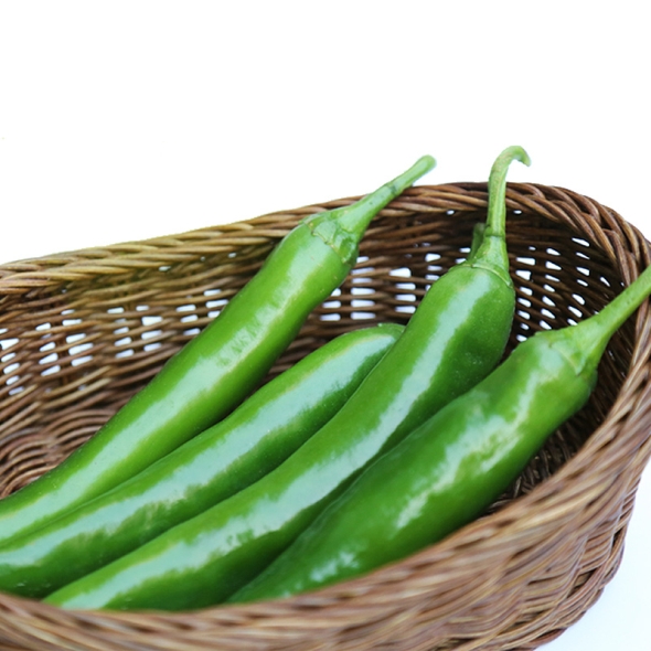 [농협] 한아름드린 신선 오이고추 1kg/2kg/4kg(특)