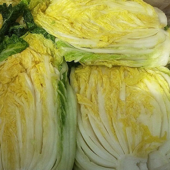  [김장철!] [날짜예약][충북괴산]괴산절임배추 20kg 7-10포기